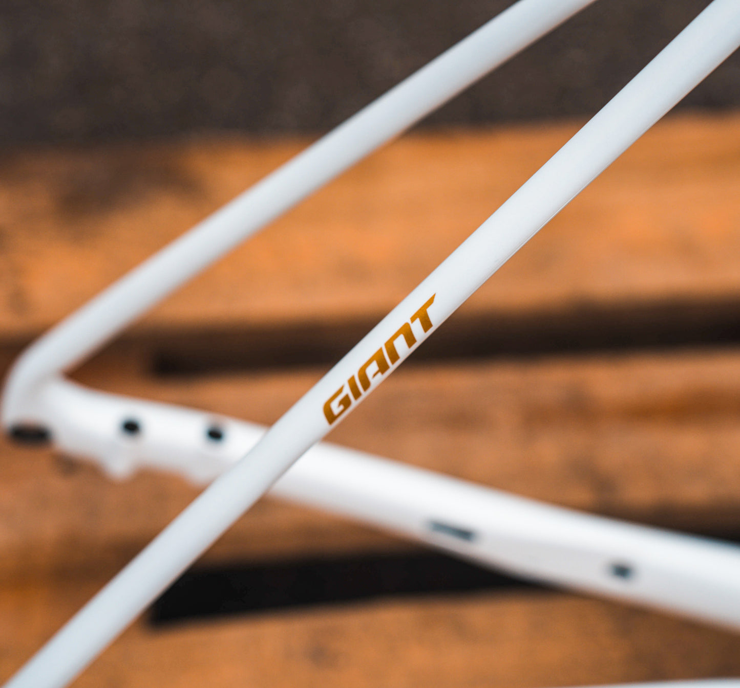 Giant TCR SL Disc L carbon racefiets frameset