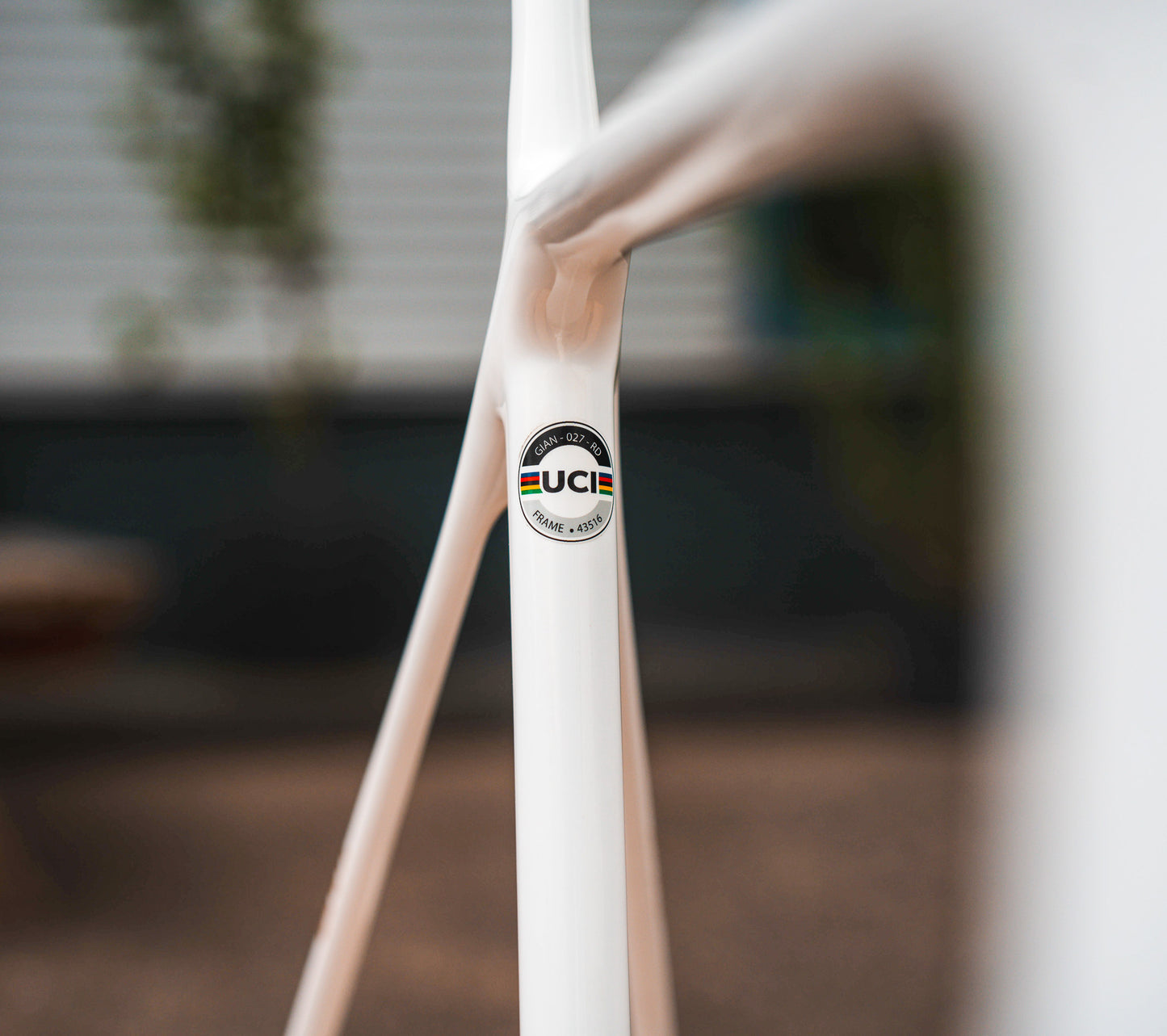 Giant TCR SL Disc L carbon racefiets frameset