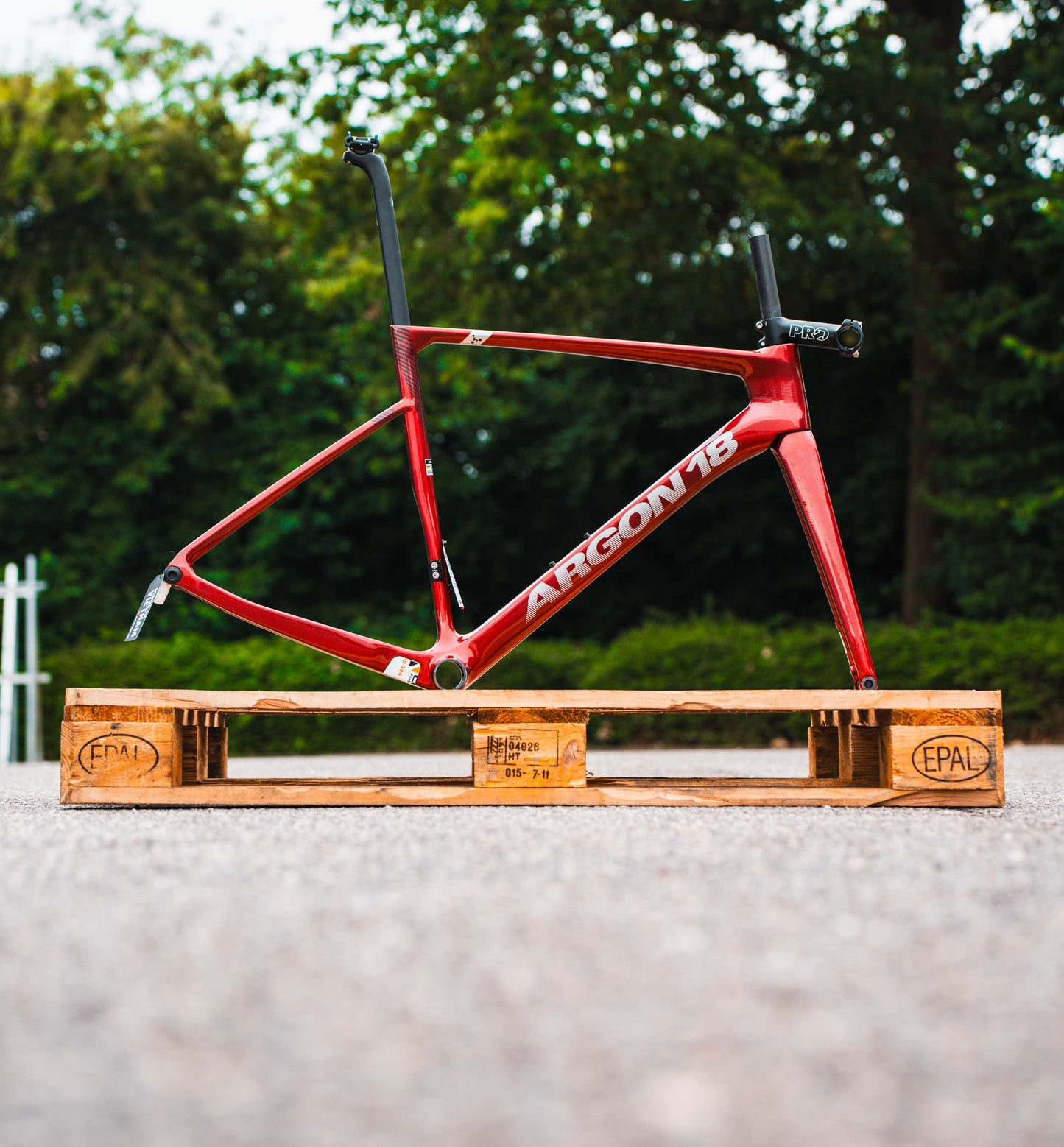 Argon 18 Sum Elite carbon frameset racefiets frame *CUSTOM B