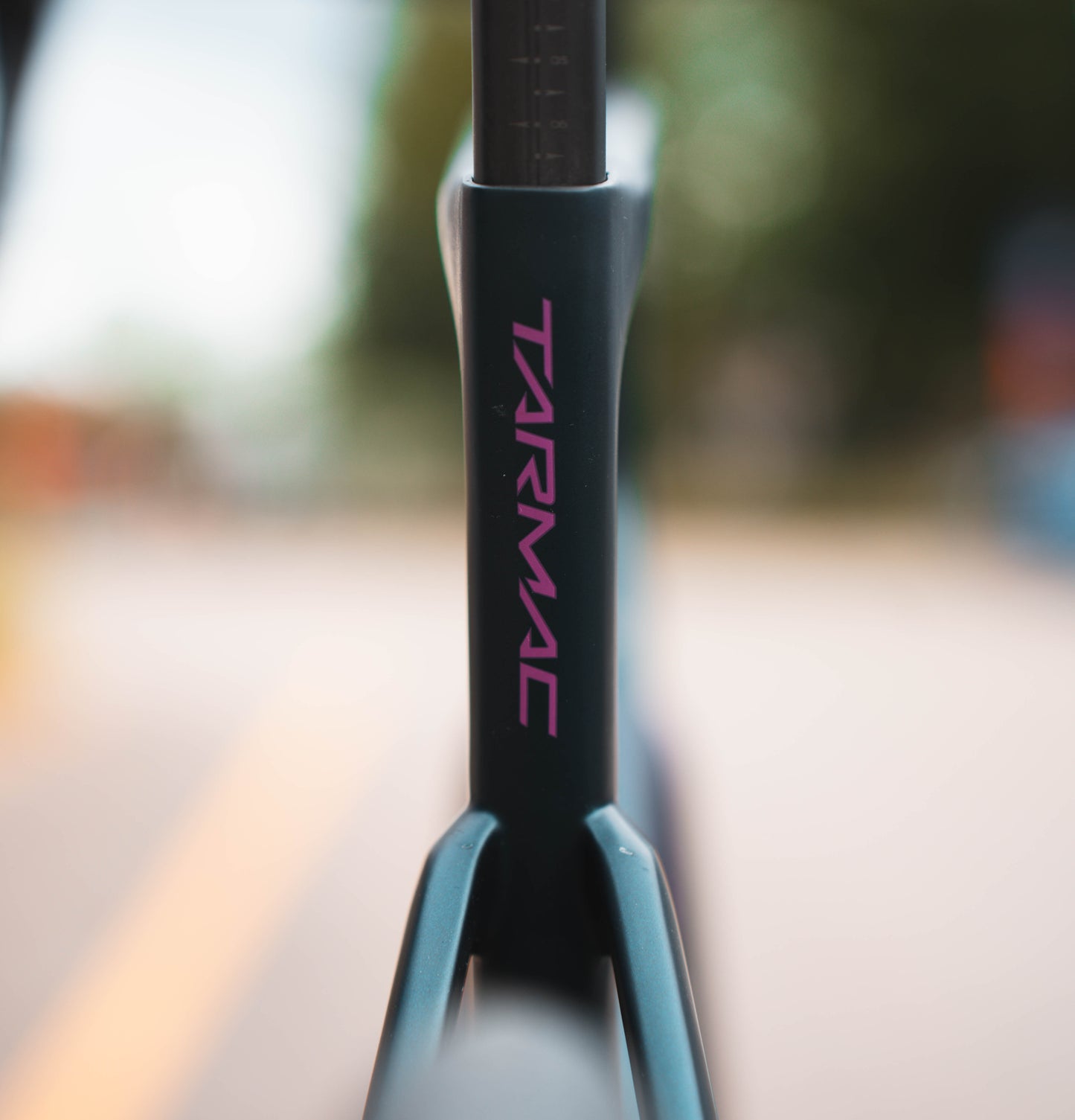 Specialized Tarmac Sl7 SHIM 105 DI2 61 FFWD Carbon Racefiets