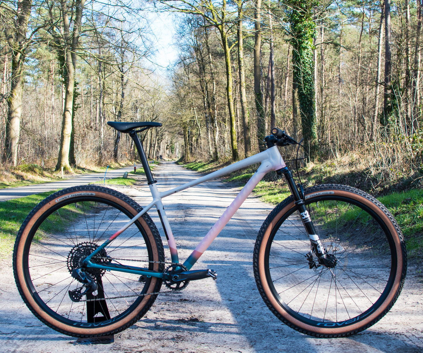 Specialized Chisel EARTH LTD maat L MTB 29 AXS ROVAL FOX