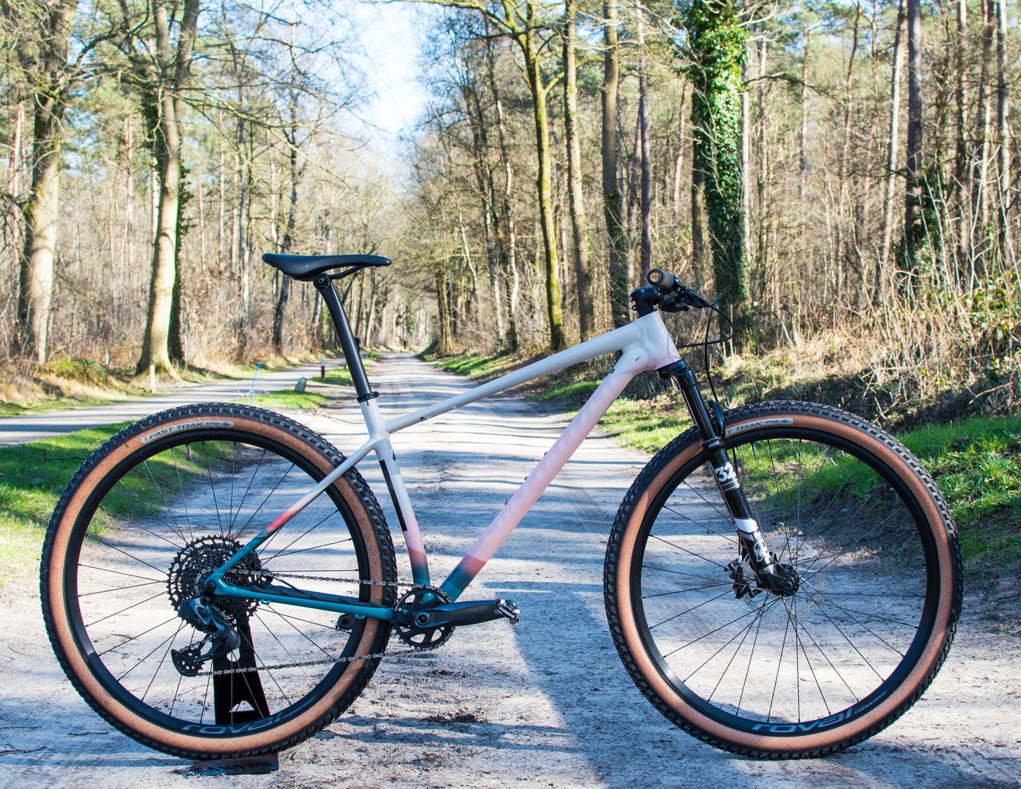 Specialized Chisel EARTH LTD maat L MTB 29 AXS ROVAL FOX