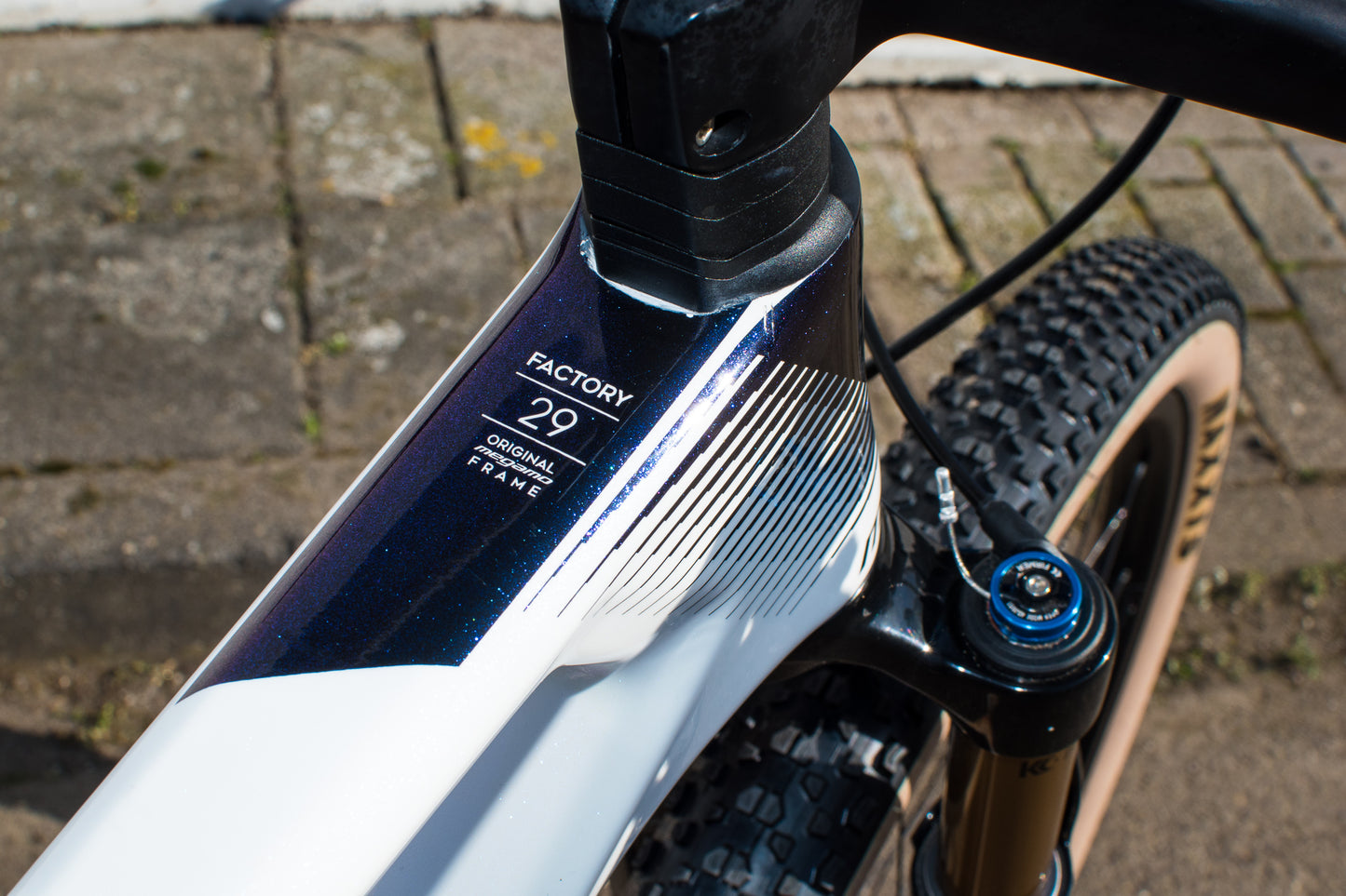 Megamo Factory 29 Sram AXS FOX Racing 32 carbon MTB mountainbike