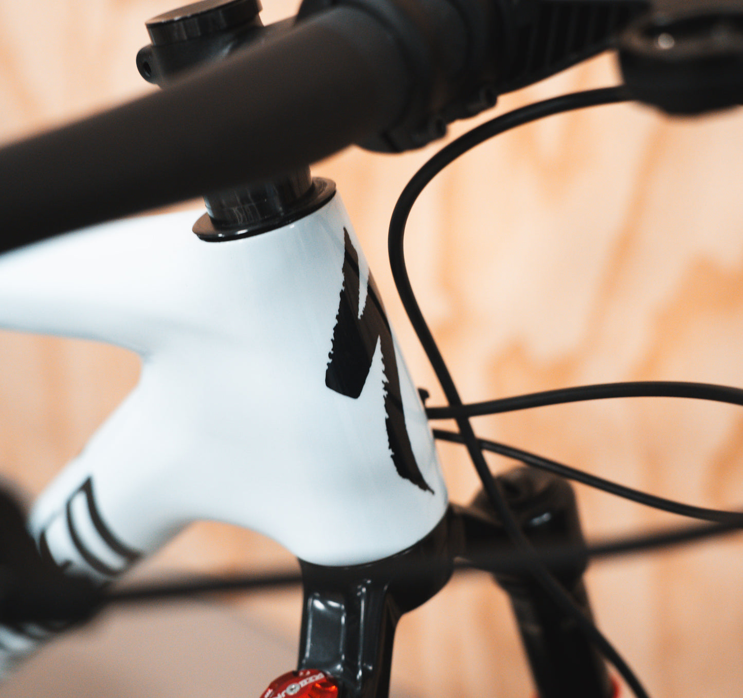 Specialized Epic SRAM GX Axs Roval L Carbon Mountainbike
