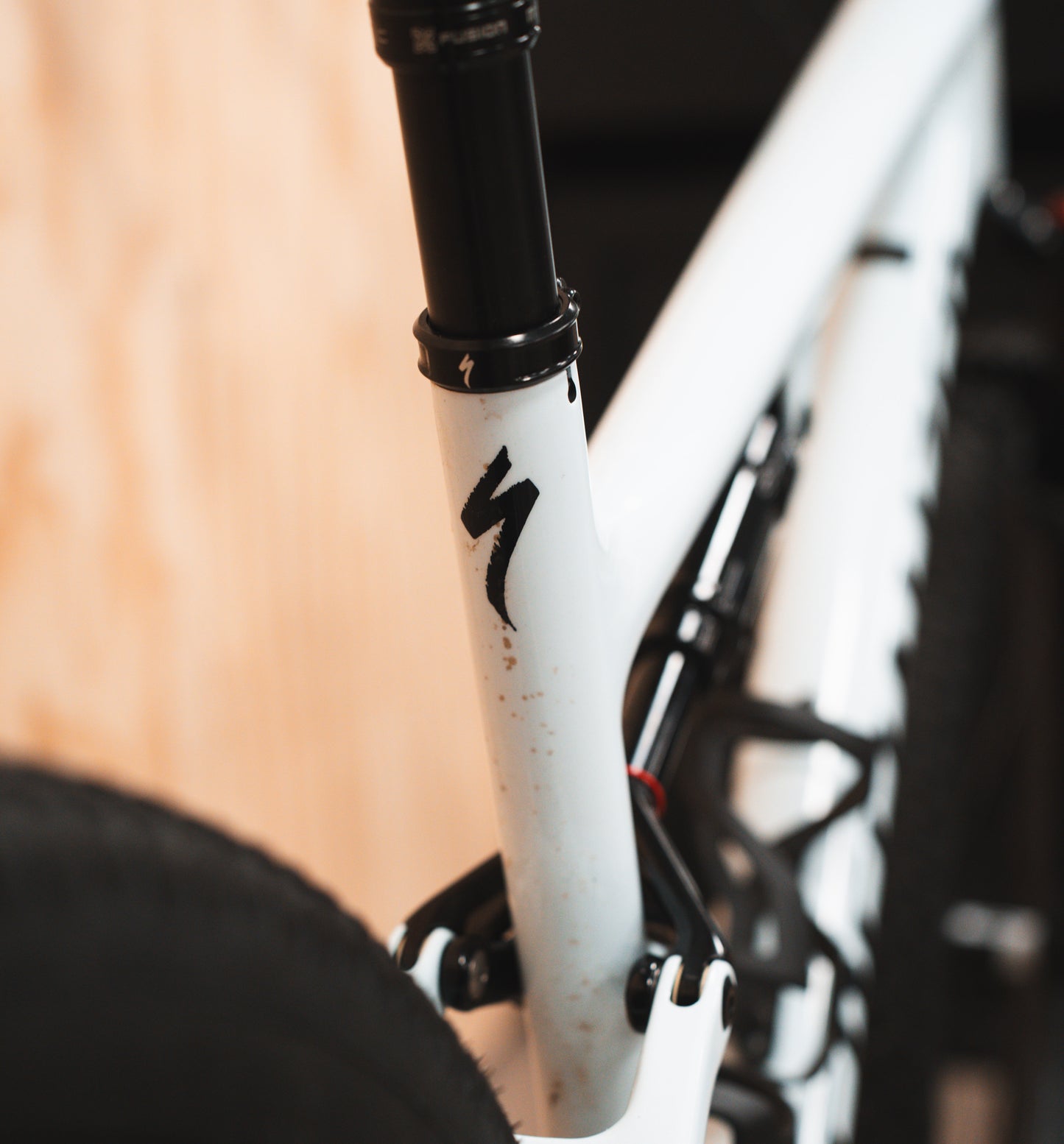 Specialized Epic SRAM GX Axs Roval L Carbon Mountainbike