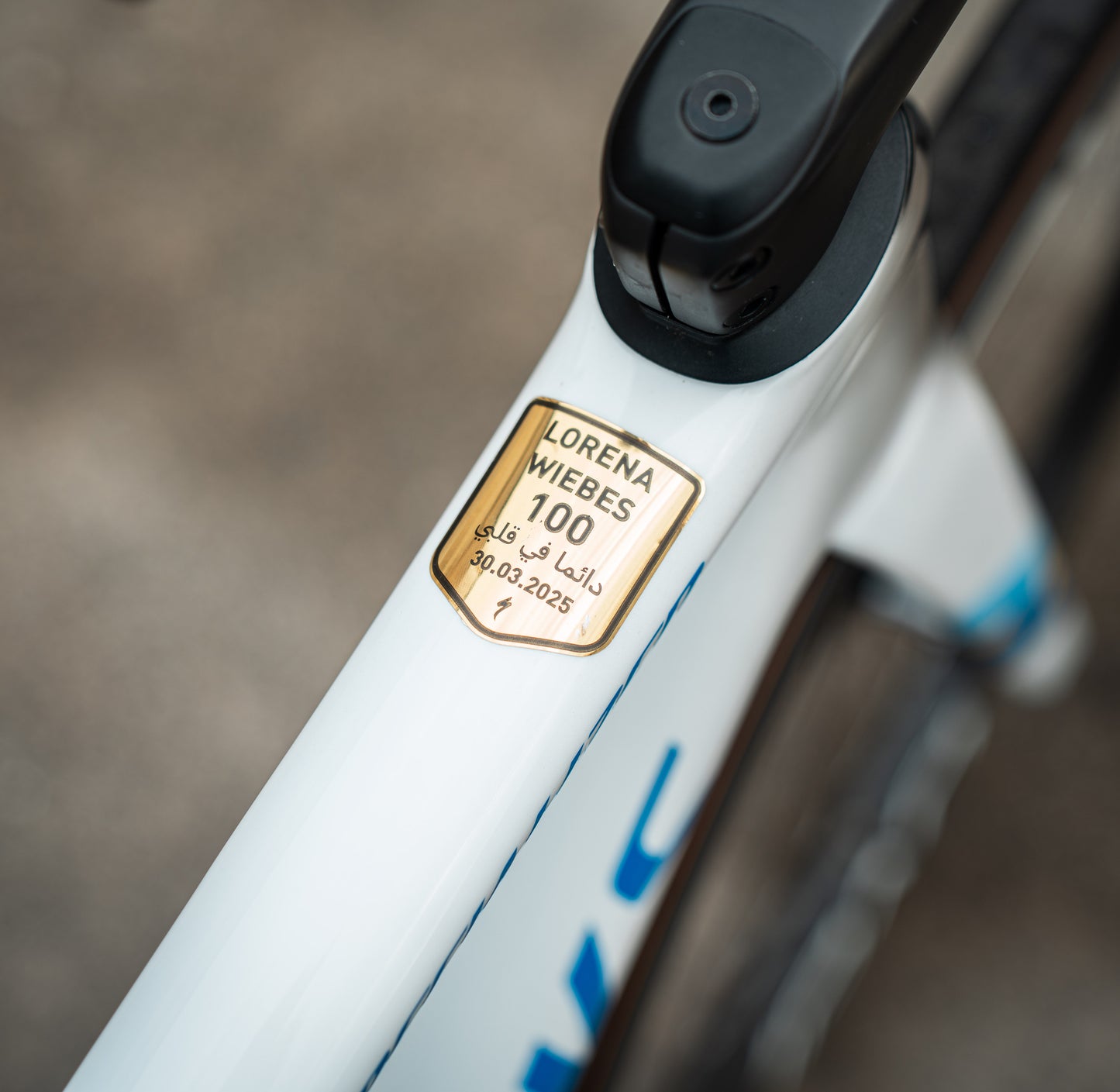 S-Works Tarmac SL8 SRAM Red AXS  52 Europees Kampioen Fiets Ex Pro Carbon Racefiets