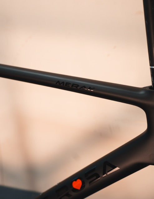 De Rosa Merak 56 (58 CC) Carbon Frameset Custom Paint