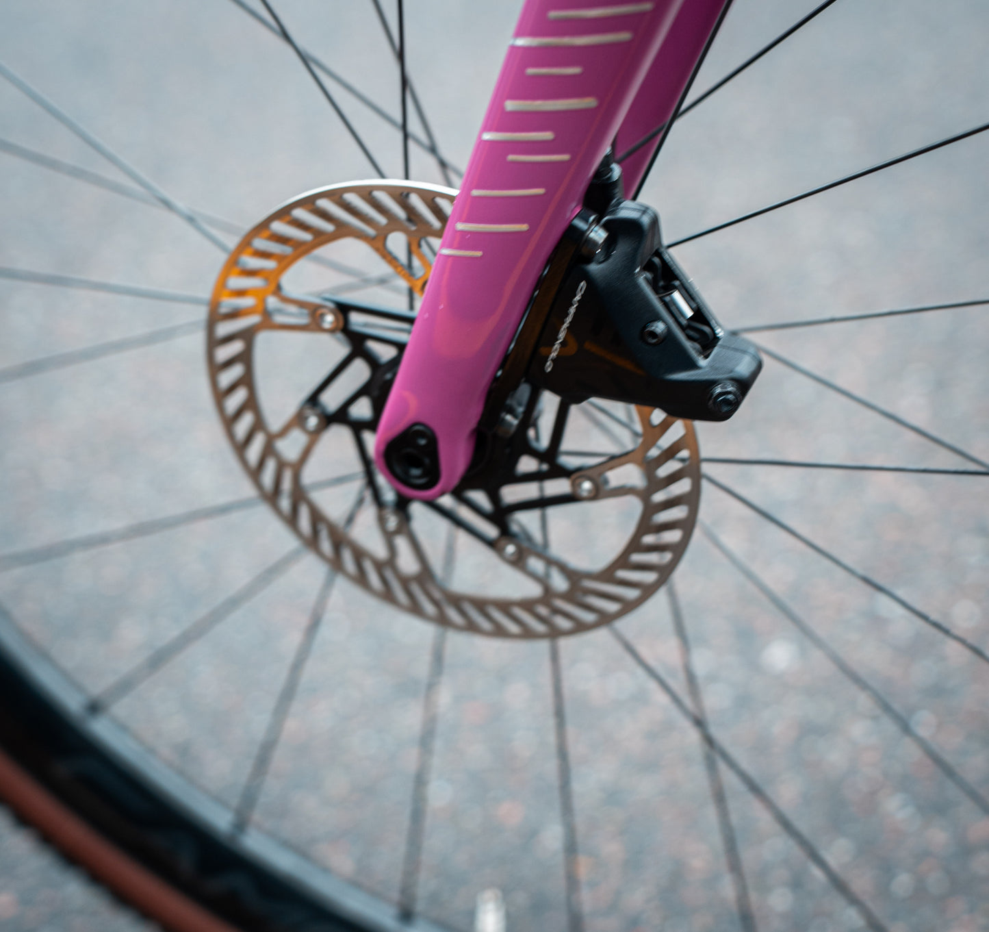 Colnago G3X Campagnolo Ekar 46 Carbon Gravelbike