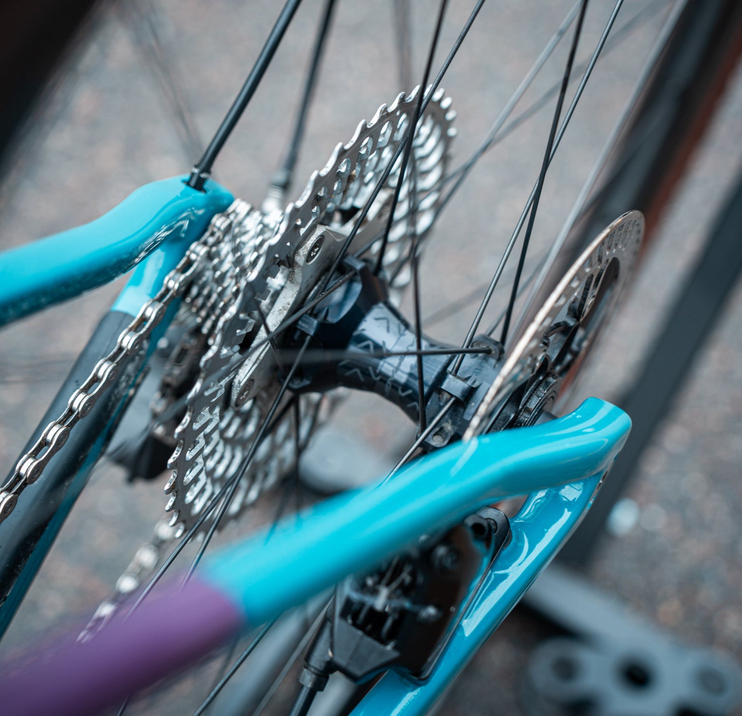 Colnago G3X Campagnolo Ekar 46 Carbon Gravelbike