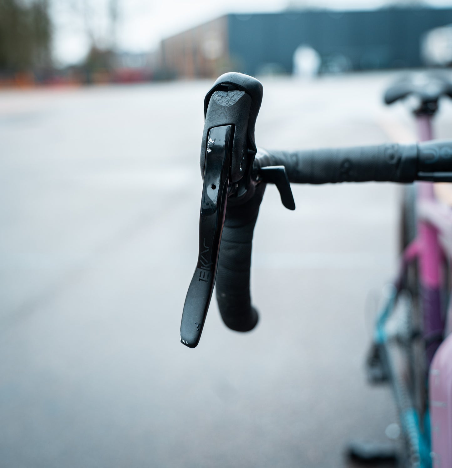 Colnago G3X Campagnolo Ekar 46 Carbon Gravelbike