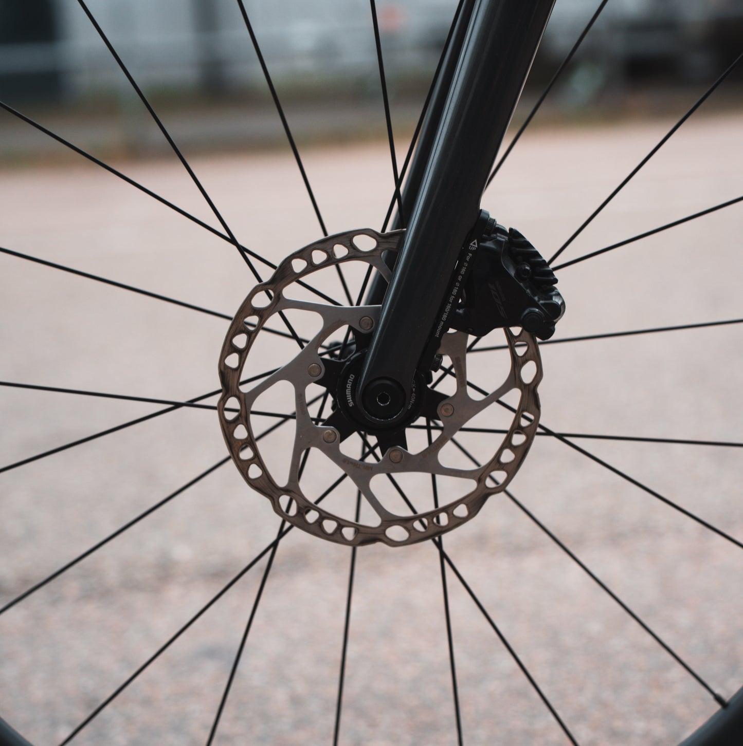 Colnago V4 Shimano 105 DI2 51 Carbon Racefiets