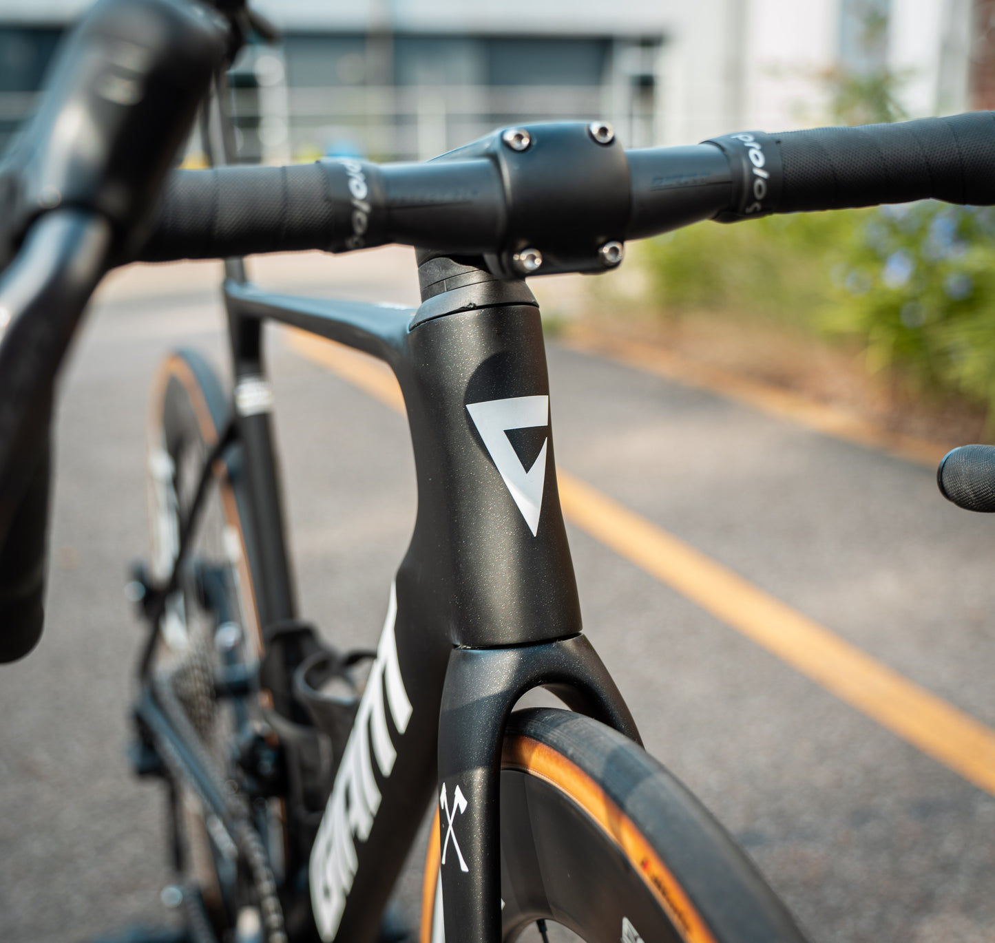 Giant Propel Ultegra Di2 Cadex Carbon Powermeter 54 Carbon Racefiets