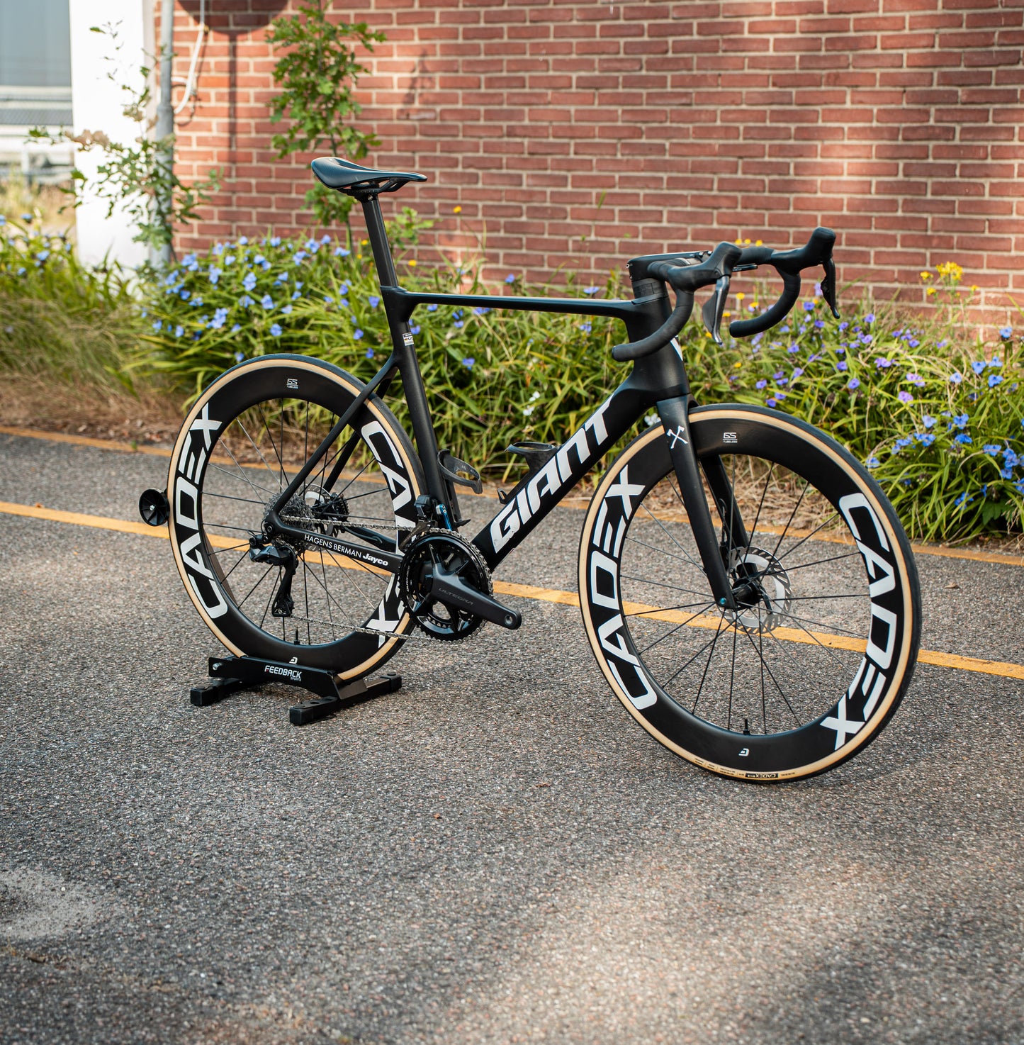 Giant Propel Ultegra Di2 Cadex Carbon Powermeter 56 Carbon Racefiets