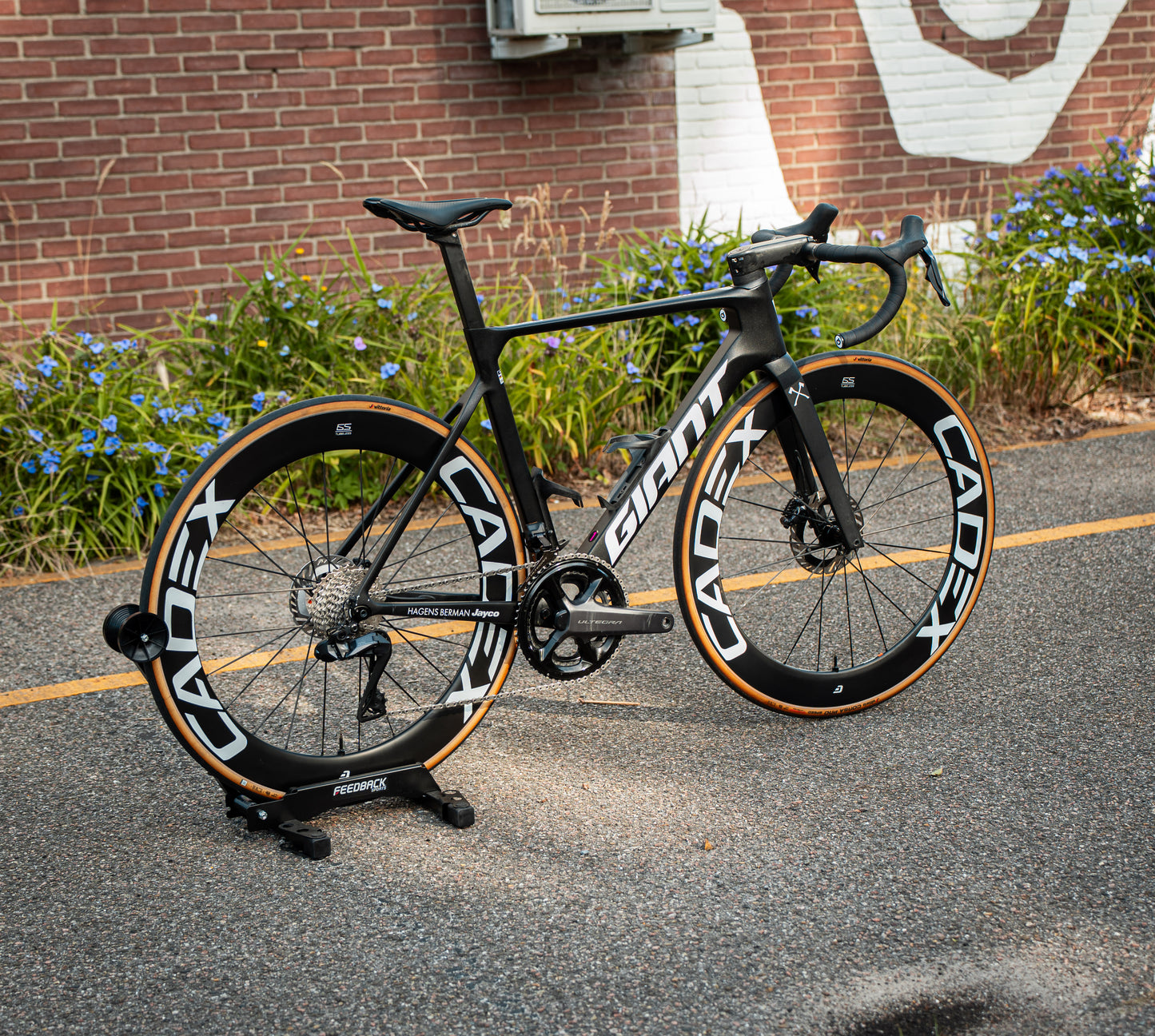 Giant Propel Ultegra Di2 Cadex Carbon Powermeter 54 Carbon Racefiets