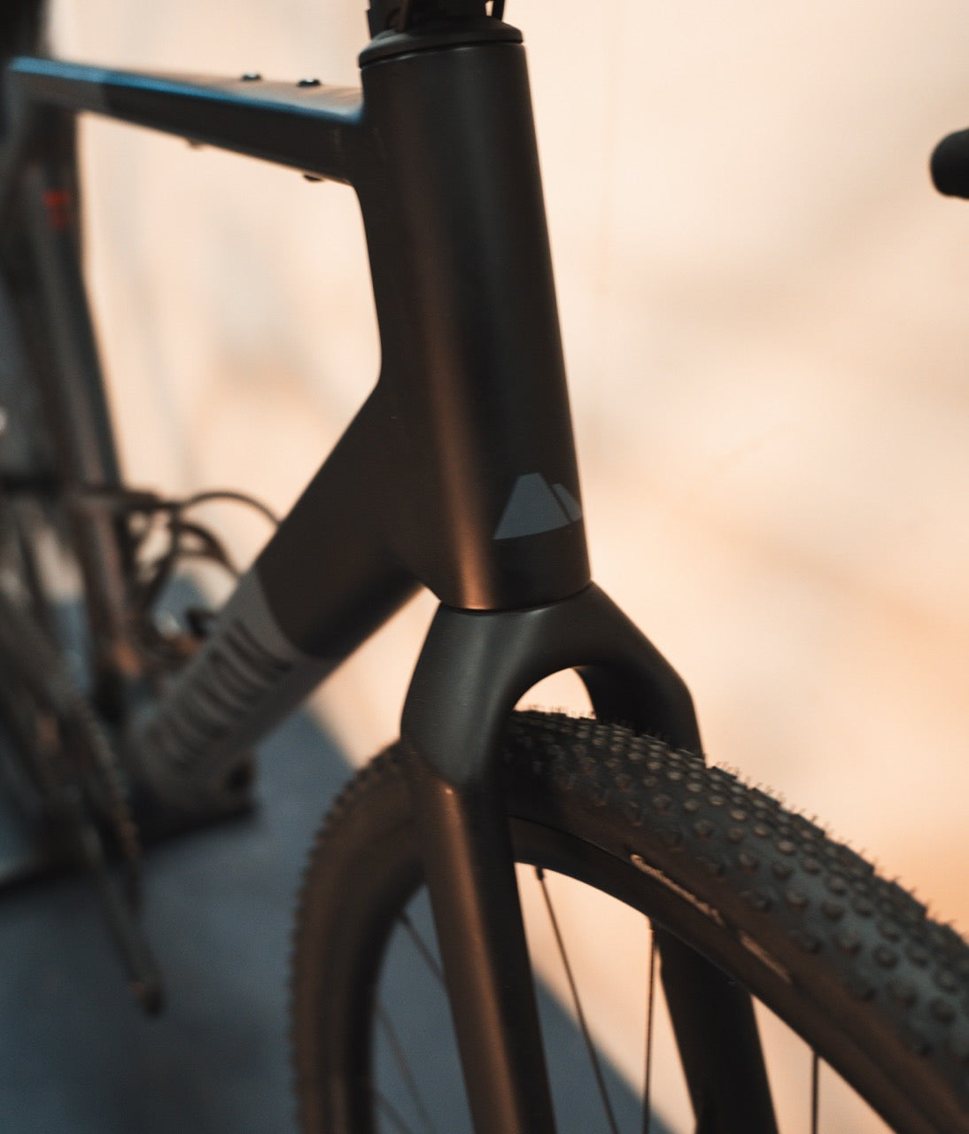 Canyon Grail SRAM Rival AXS E-Tap L Carbon Gravelbike